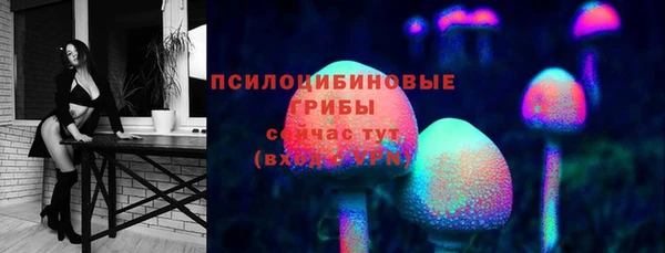 бошки Бугульма